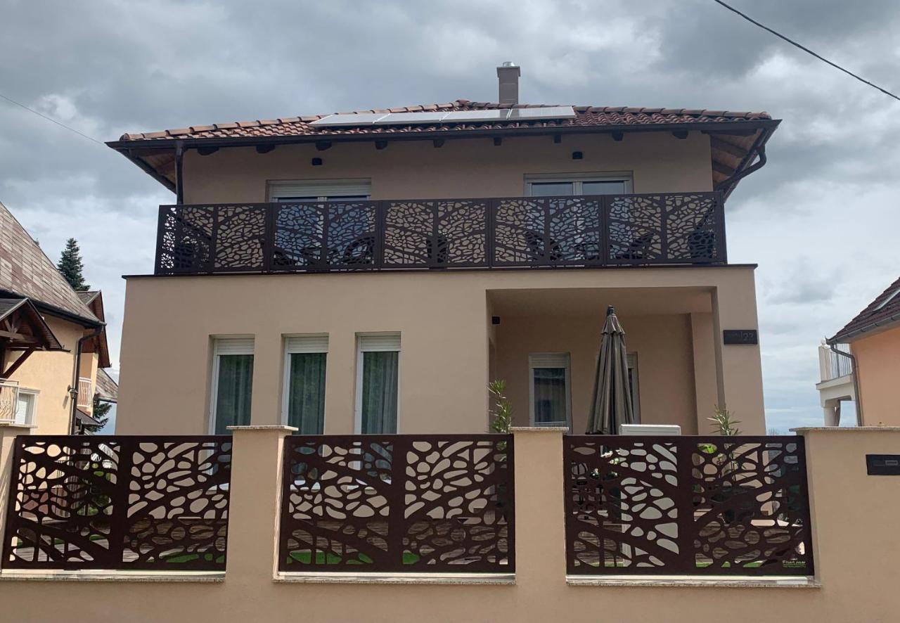 Dodi Apartman ザラカロシュ エクステリア 写真